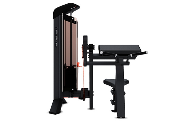 EDGE BÍCEPS MOVEMENT EDGE BÍCEPS MOVEMENT