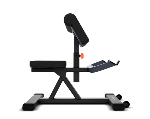 BANCO BÍCEPS MOVEMENT BANCO BÍCEPS MOVEMENT