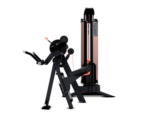 EDGE+ BÍCEPS  TRÍCEPS MOVEMENT EDGE+ BÍCEPS  TRÍCEPS MOVEMENT