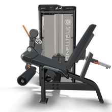 IDEA EXTENSORA MOVEMENT IDEA EXTENSORA MOVEMENT