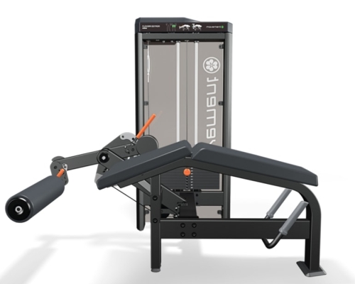 IDEA FLEXORA DEITADA MOVEMENT IDEA FLEXORA DEITADA MOVEMENT