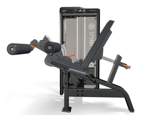 IDEA FLEXORA MOVEMENT IDEA FLEXORA MOVEMENT