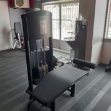 FLEXORA DEITADA FLEXORA DEITADA