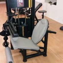 EXTENSORA/FLEXORA SENTADA SIGMA EXTENSORA/FLEXORA SENTADA SIGMA