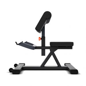 Banco Bíceps MOVEMENT