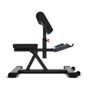 Banco Bíceps MOVEMENT