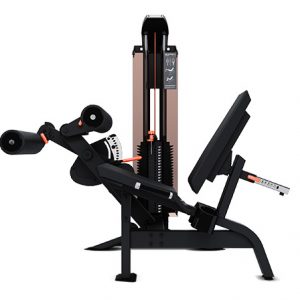 EDGE FLEXORA MOVEMENT