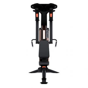 EDGE PECK FLY  REAR DELT MOVEMENT