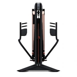 EDGE PEITORAL MOVEMENT