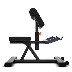 BANCO BÍCEPS MOVEMENT