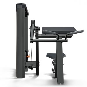 IDEA BÍCEPS MOVEMENT