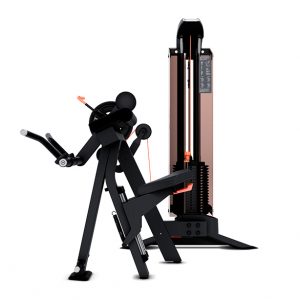 EDGE+ BÍCEPS  TRÍCEPS MOVEMENT