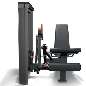 IDEA EXTENSORA MOVEMENT