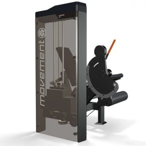 IDEA EXTENSORA MOVEMENT