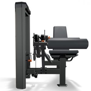 IDEA FLEXORA MOVEMENT