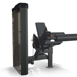 IDEA FLEXORA MOVEMENT