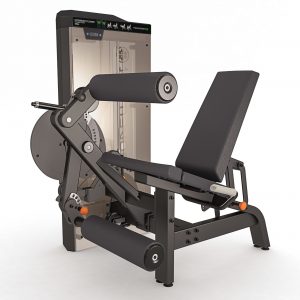 IDEA EXTENSORA/FLEXORA