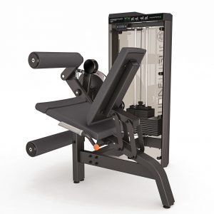 IDEA EXTENSORA/FLEXORA